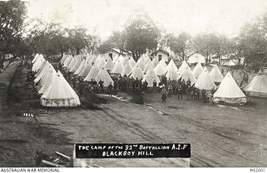 1004-A Dane Fighting for Australia-image1png