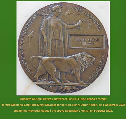 the-search for henry nelson image9.png