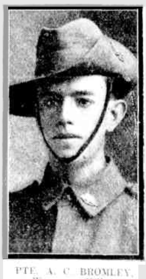 4744-private-albert-clive-bromley-image1png