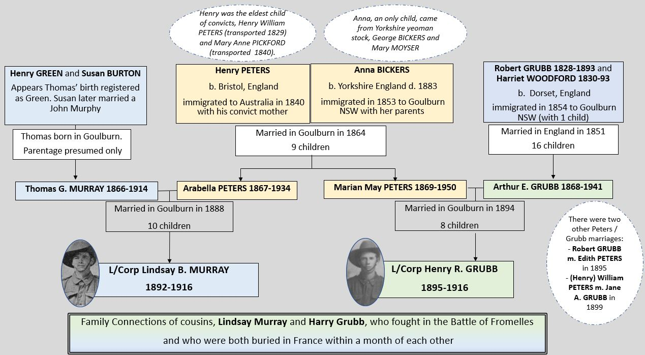 860-Cousins - A story of Goulburn fa-image1png