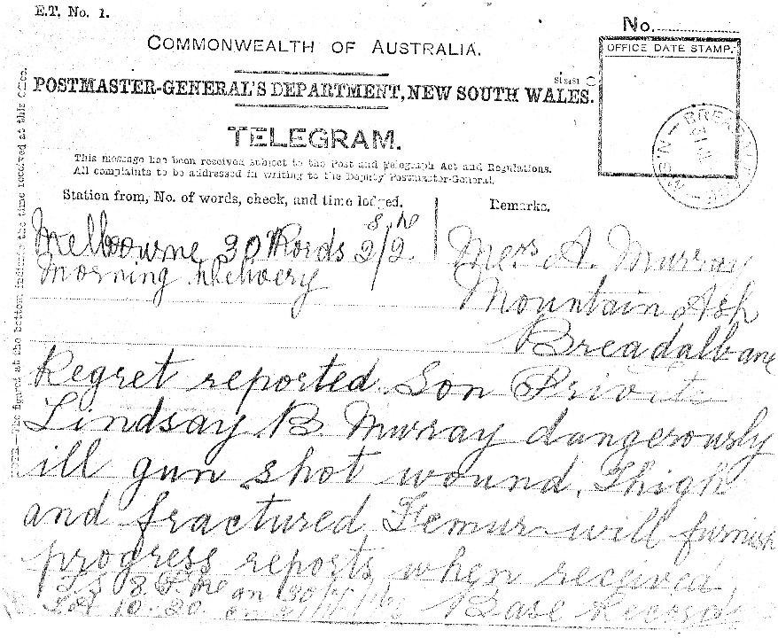 860-Cousins - A story of Goulburn fa-image10png